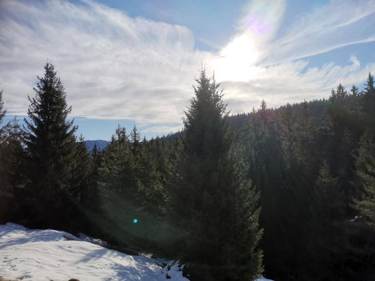 Ferienwohnung In Trin Bagian luar foto