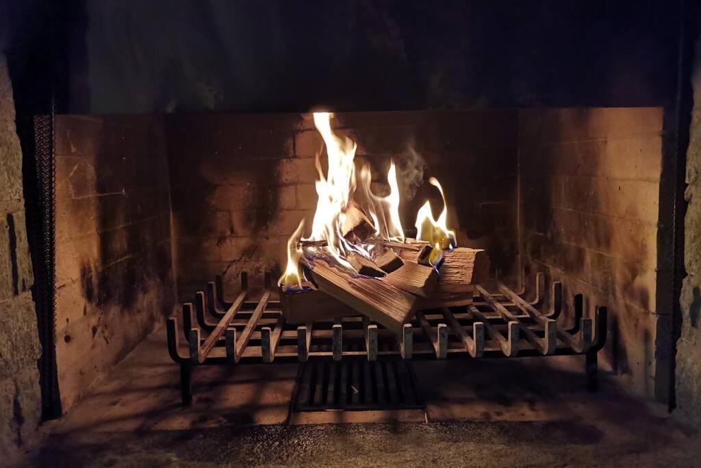 Ferienwohnung In Trin Bagian luar foto